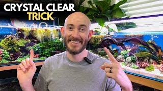 First Time Setting Up a Canister Filter? Do THIS for Clear Water