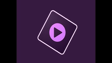 How do a zoom out effect w/ premier elements