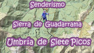 Caminando por la Umbría de Siete picos desde la 5ª Revuelta de Navacerrada