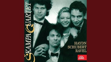 Quartett-Satz in C minor, D 703 - Allegro assai