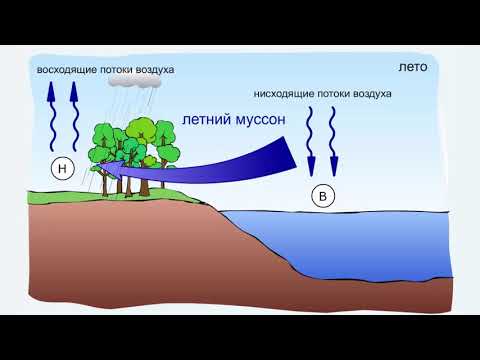 Образование муссонов