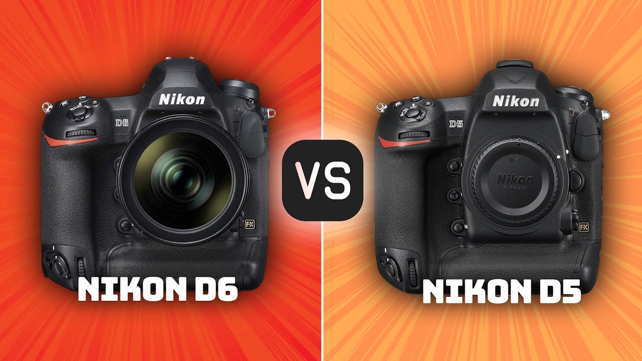 Nikon D6 vs Nikon D5: Which Camera Is Better? (With Ratings & Sample Footage)