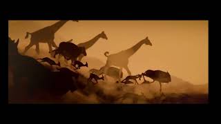 Verticalstampede Venturesaugenschein Filmproduktion 2025