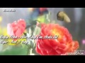 احلى مسلسل حزين امير السطوح احلى مسلسل حزين امير السطوح