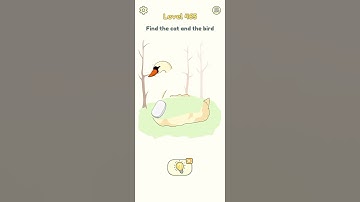 DOP 2 Level 465 Find the cat and the bird