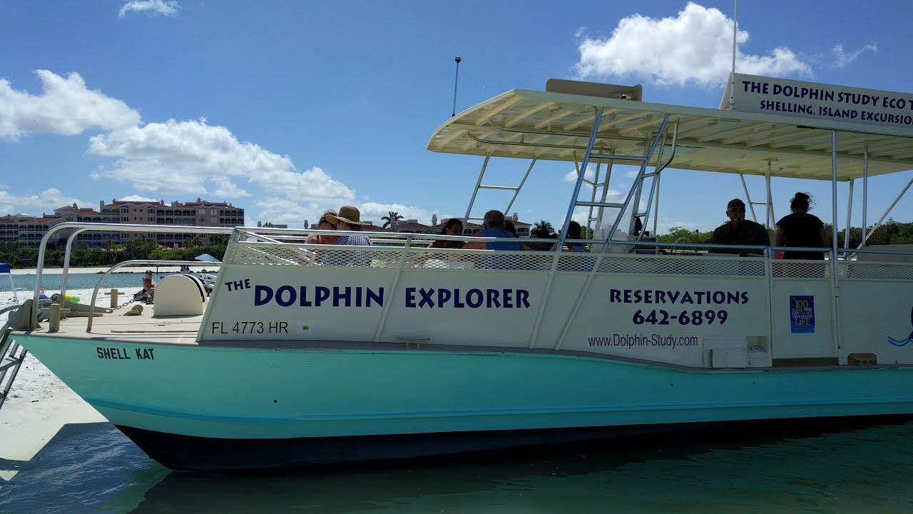 dolphin tour explorer