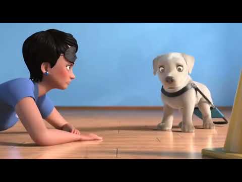 pip / A short animated film.                         southern guide dogs