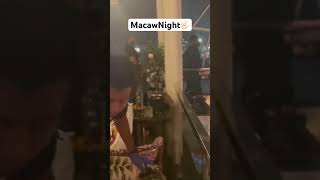Macaw in Jp Nagar || Weekend Plan || Pub Night || macaw weekend weekendvibes bangalore jpnagar