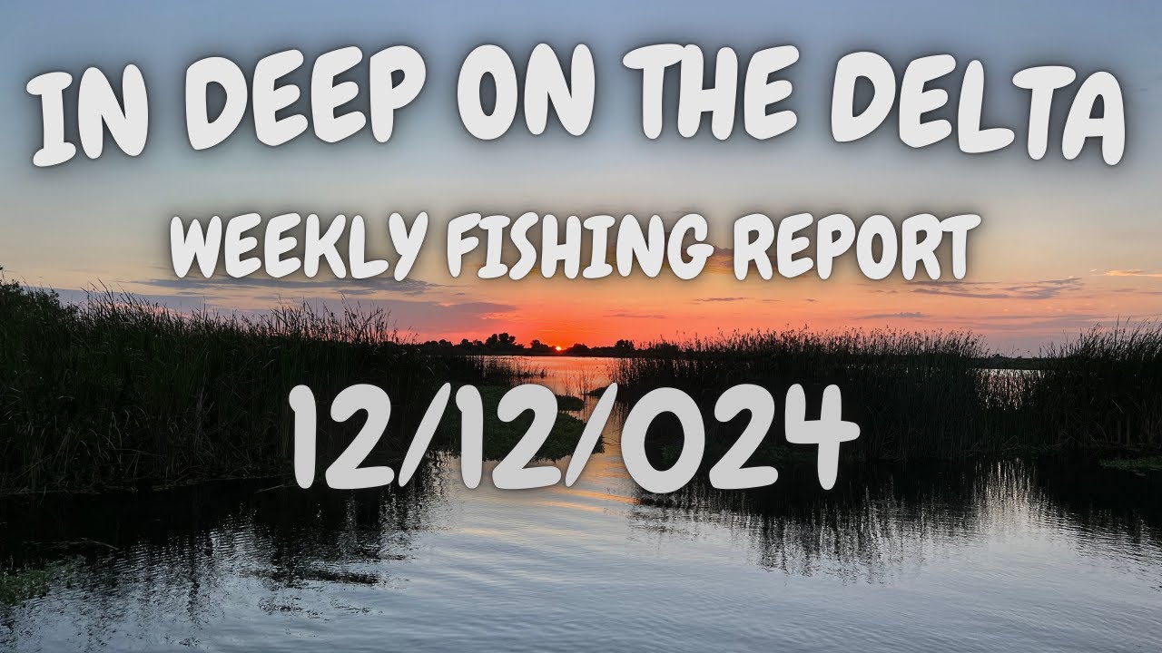 The In Deep On The Delta Weekly Fishing Report For 12/12/2024.