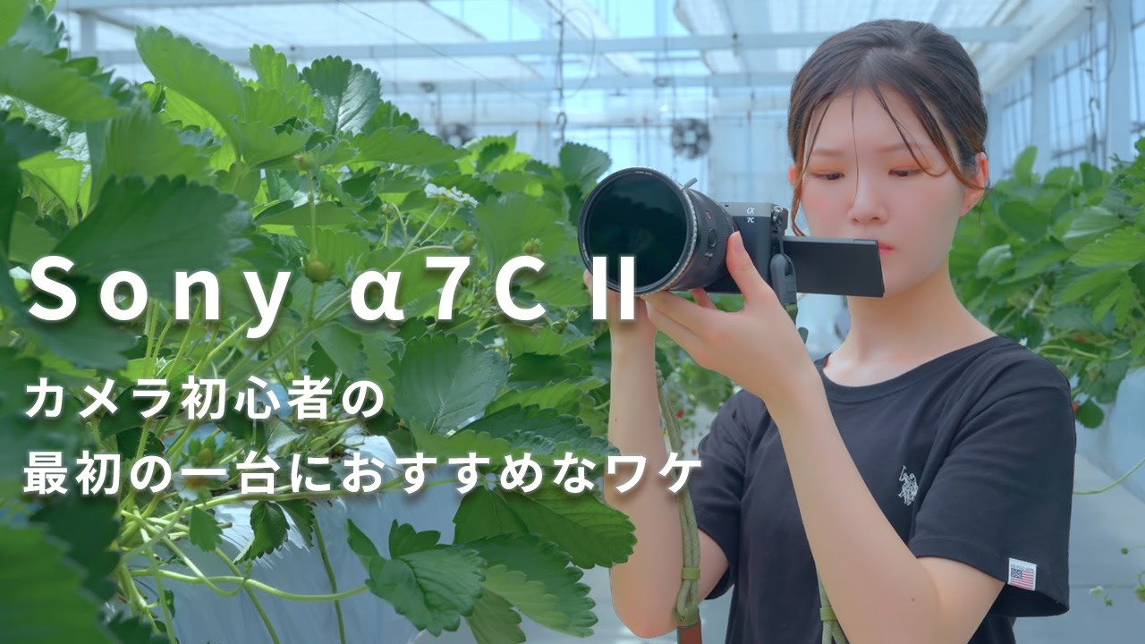 Sony α7C II Review] Why we recommend the α7C II to beginner