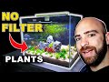 *NO FILTER* AQUARIUM SETUP: PLANTING | MD FISH TANKS