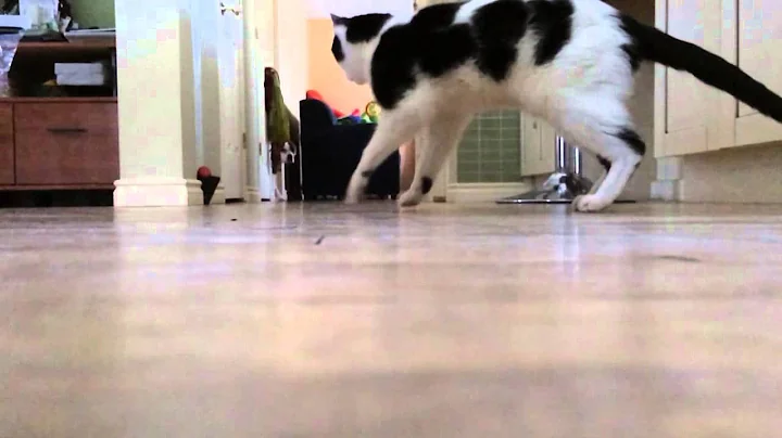 Jumping