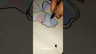 Colourful Butterfly 🦋🔥