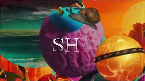 Tyla - SHAKE AH (Official Lyric Video) ft. Tony Duardo, Optimist Music ZA, Ez Maestro
