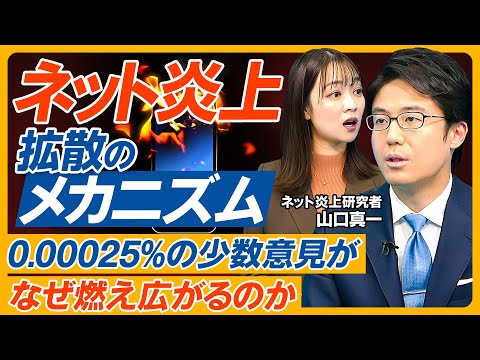 【隠蔽できない時代】炎上研究の専門家に学ぶ/ネット炎上新常識/ネガティブな書き込みはわずか0.00025%/炎上の3類型/予防方法/対応マニュアル/謝罪の流儀/今日もどこかで誰かが燃えている Episode cover