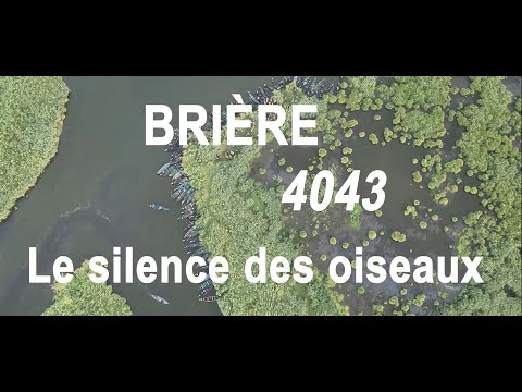 Brière 4048, le silence des oiseaux