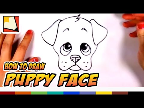 How to Draw a Cute Puppy Face Step by Step CC