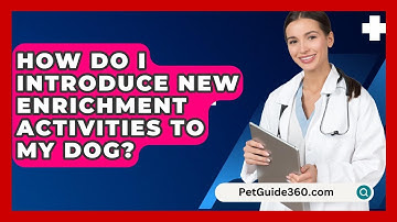 How Do I Introduce New Enrichment Activities To My Dog? - PetGuide360.com