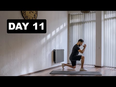 მოტივაცია - დღე 11