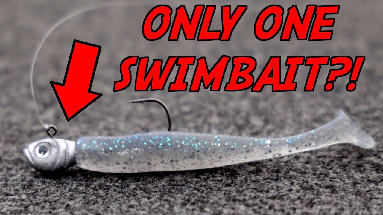 Watch You WON'T BELIEVE How Many Bass I Caught With One Swimbait