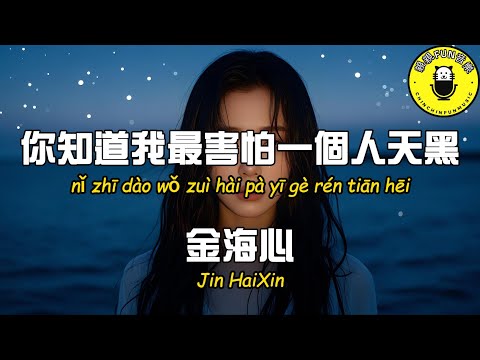 金海心 - ﻿你知道我最害怕一個人天黑『不知什麼時候 看不了別人雙雙對對』【繁體拼音動態歌詞Lyrics】【CC字幕】 bekijken op YouTube