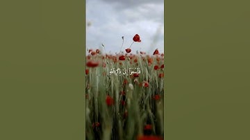 يا أيها الذين آمنوا إذا نودي للصلاة من يوم الجمعة فاسعوا إلى ذكر الله وذروا - سورة الجمعة - المنشاوي