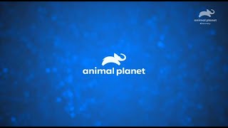 Animal Planet Latinoamérica Feed Panregional Tanda Comercial Junio 2025
