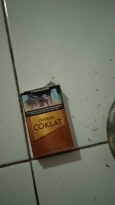 korek sampoerna, rokok djarum  coklat tambah kopi udah tenang