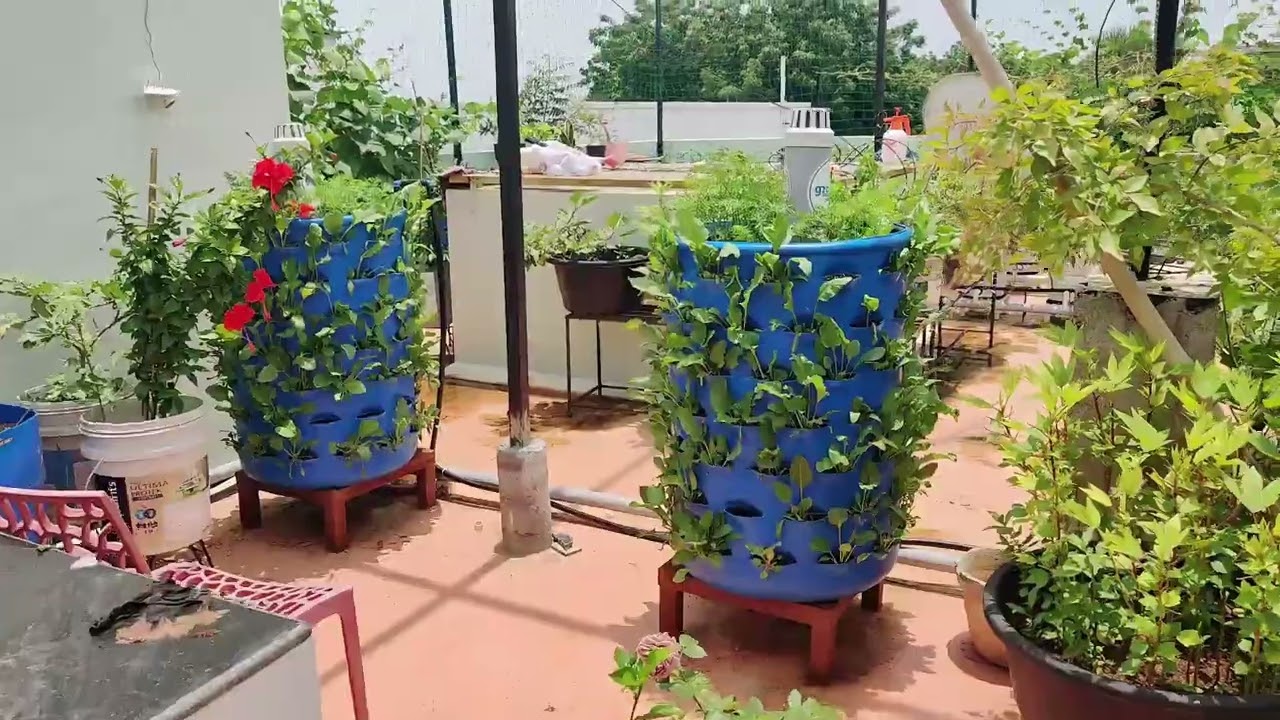 GROVRITE CTGSC ROOF TOP GARDEN WITH FISH CULTURE with drip and drain system lowest water consumption