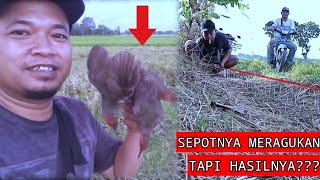 Download Lagu Mikat Burung Tikusan //Spot pinggir jalan yg Sangat OK MP3