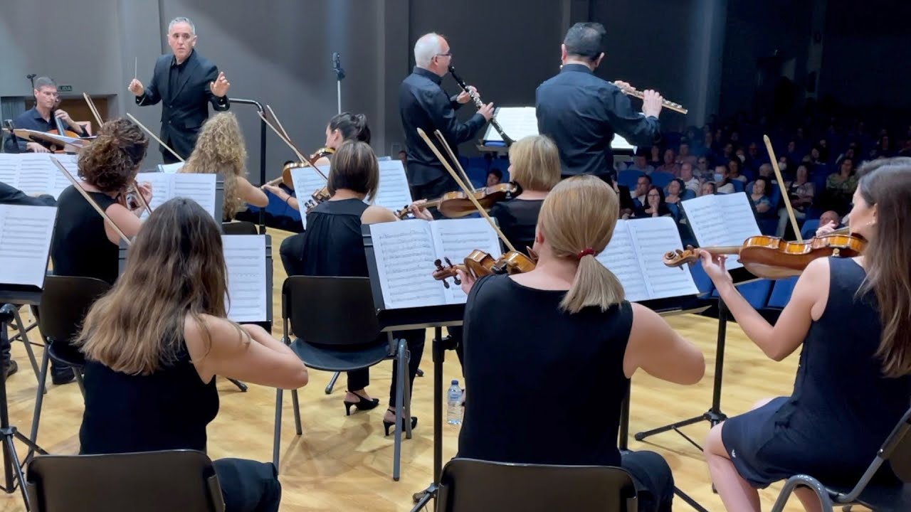 Sinfonia Concertante for flute & Op. 41 Franz Danzi YouTube