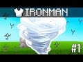 A hurricane ruined my skyblock gameplay 😭 - Skyblock Ironman #1