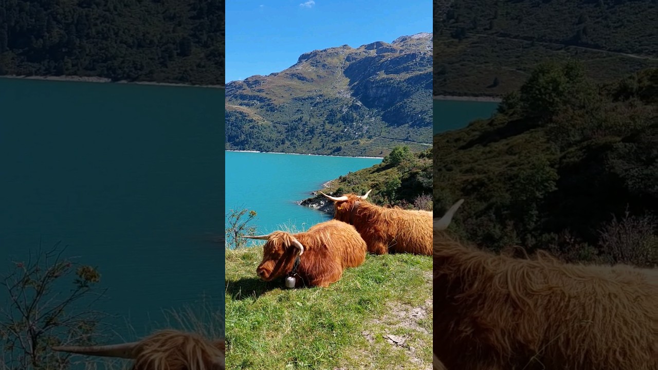 the swiss way of takin' it easy 