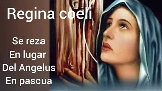 💐⚘️ REGINA COELI O REINA DEL CIELO.  ORACIÓN PARA EL TIEMPO PASCUAL.  LUNES 13 DE MAYO 2024 💐⚘️