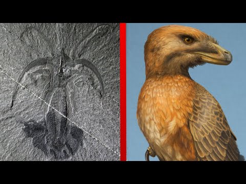 Video: Paleoufology And The Present. Part Two - Alternative View