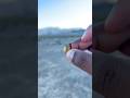 Wad Cutter Vs FMJ The Target Shooter S Secret Guns Shotgun Wad Cutter Vs FMJ The Target Shooter S Secret Guns Shotgun