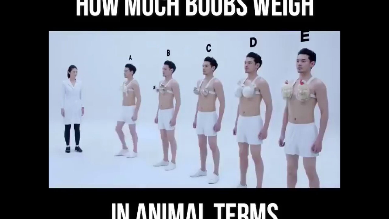 How Much Boobs Weigh In Animals Terms