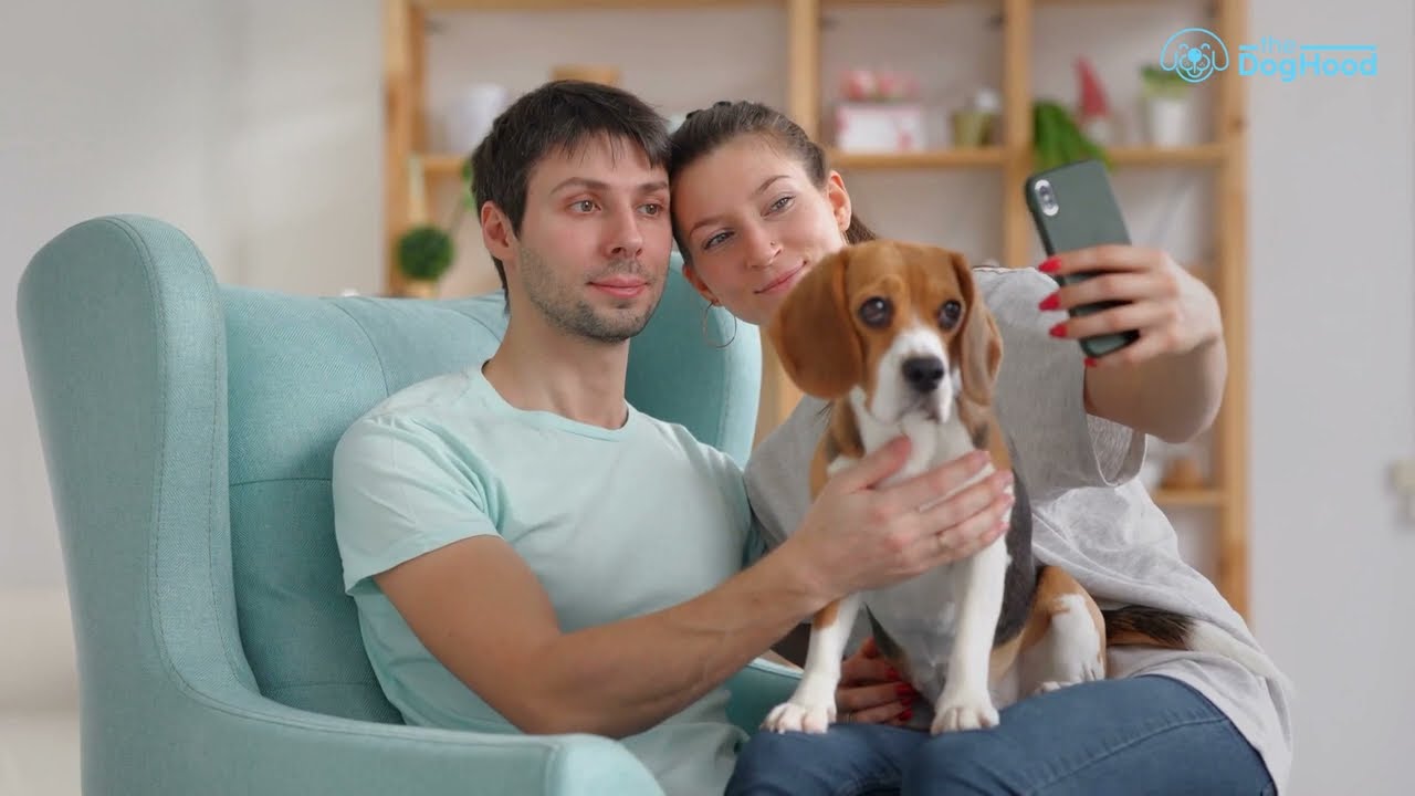 Join Dog Lovers Community - The Dog Hood