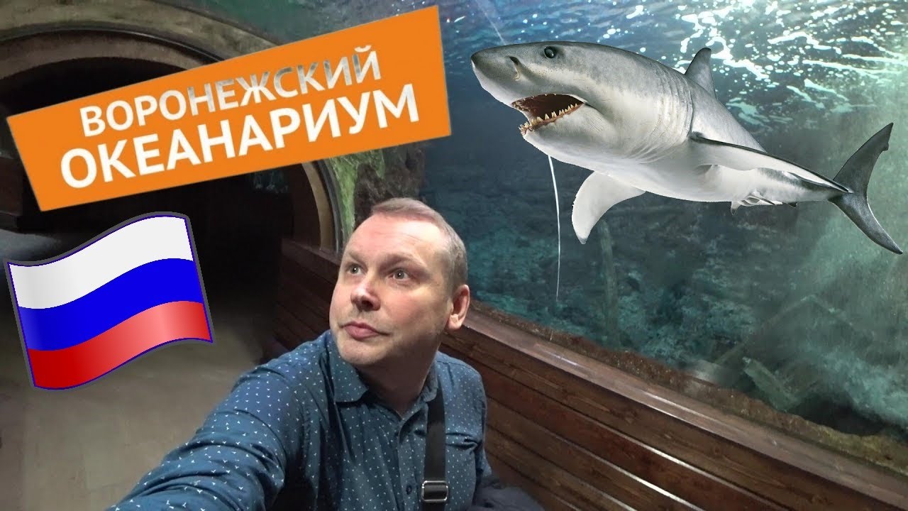 Воронеж. Подводный мир без поездки к морю! 🐬 Посетил Воронежский океанариум — крупнейший в ЦФО.