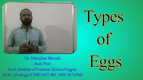Types of Eggs in EmbryologyI Isolecithal I Telolecithal I Centrolecithal I Alecithal I Microlecithal