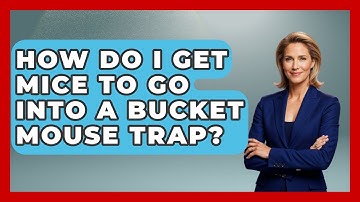 How Do I Get Mice To Go Into A Bucket Mouse Trap? - Insects and Invaders