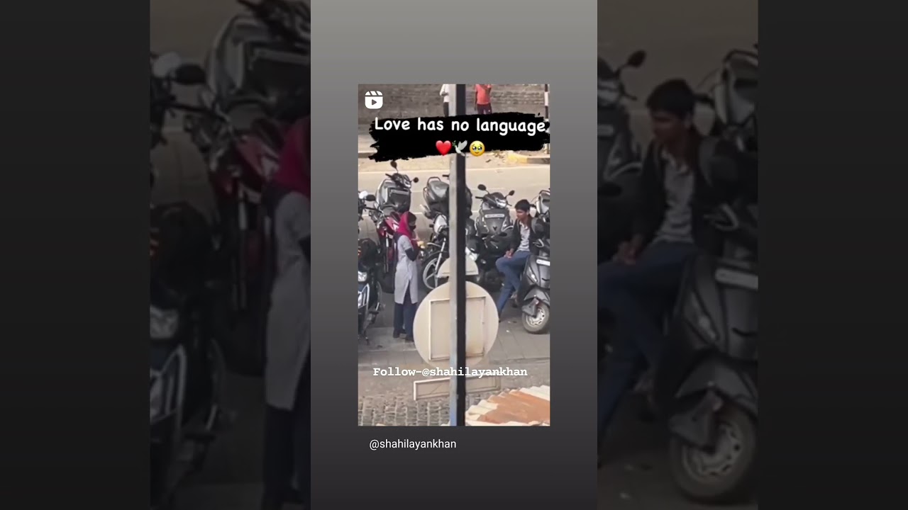 love has no language