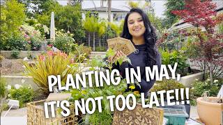 It’s NOT Too LATE To Start YOUR GARDEN...HERE'S WHAT YOU NEED TO DO!