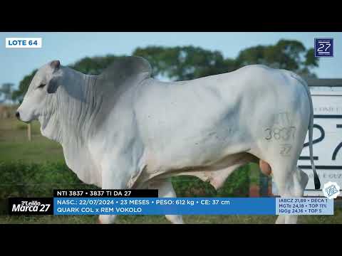 LOTE 64 - NTI 3837