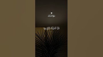 سورة القدر #quran #القرآن_الكريم