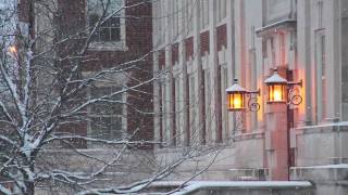 2011 Holiday Greetings