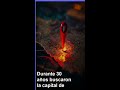 Durante 30 años buscaron la capital de Tartessos. Un solo yacimiento cambió todo. ¿Dónde estaba real