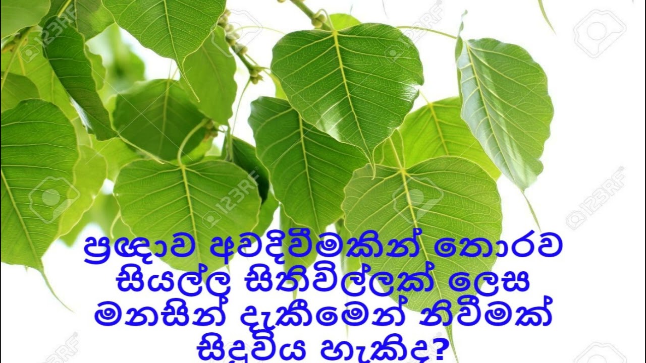 ප්‍රඥාව අවදිවීමකින් තො‌රව සියල්ල සිතිවිල්ලක් ලෙස මනසින් දැකීමෙන් නිවීමක් සිදුවිය හැකිද?