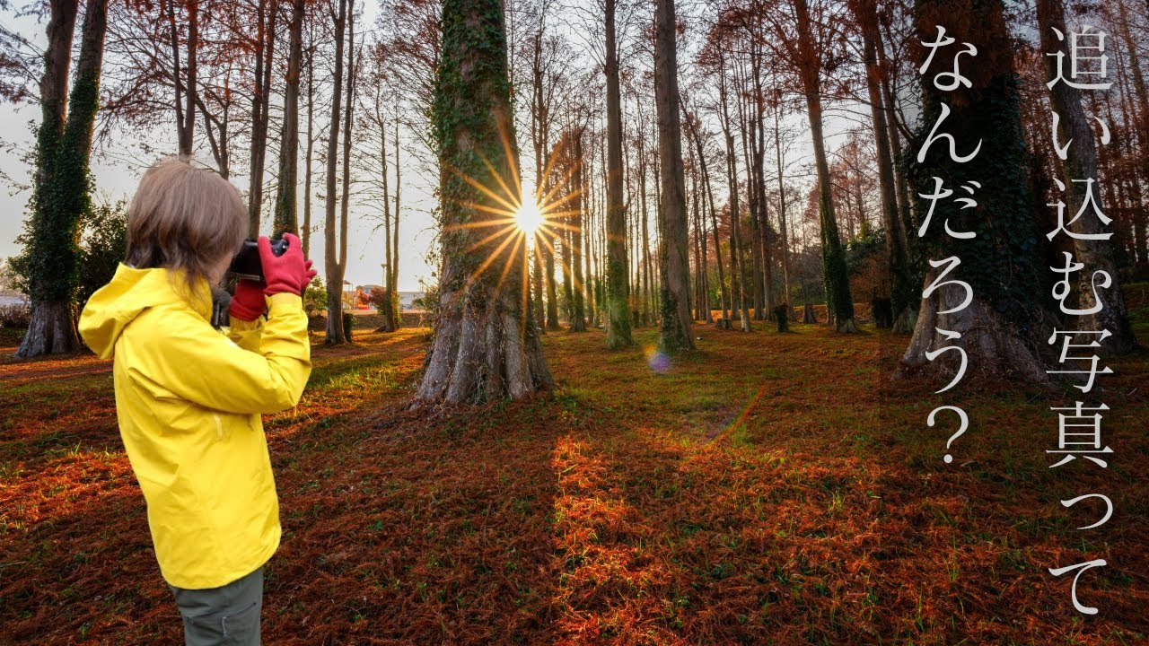 【写真を追い込むコツ】超広角レンズ一本勝負✨ Sony  FE 14mm F1.8 GM