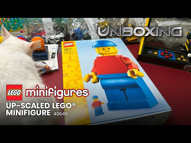 Up-Scaled LEGO® Minifigure 40649, Minifigures